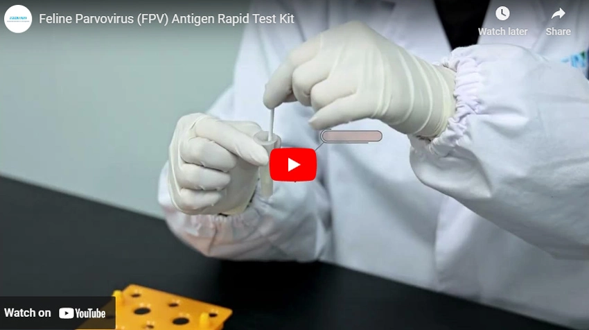 Feline Parvovirus (FPV) Antigen Rapid Test Kit
