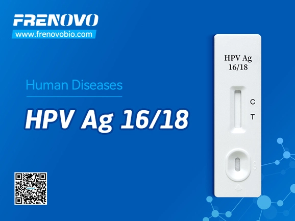 (HPV)Human Papillomavirus Antigen Rapid Test Kit